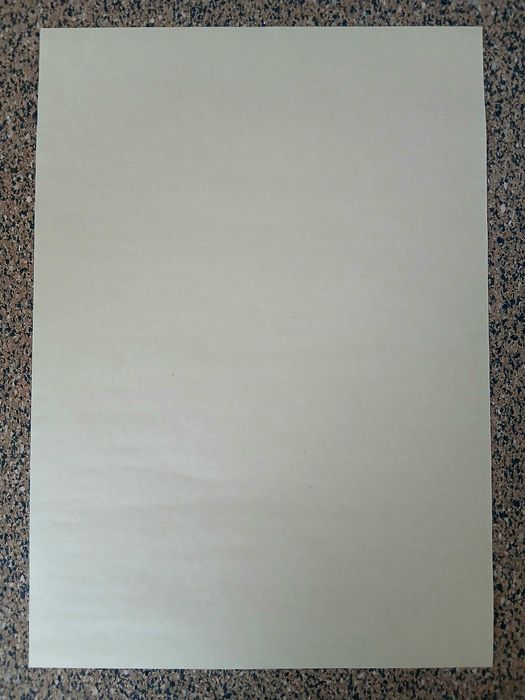 Poster - Predator (papel kraft, 30x42 cm)