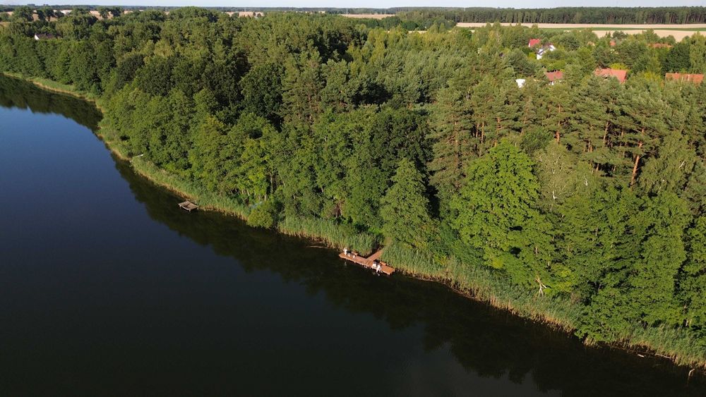 Działka pod zabudowę, las z linią brzegową