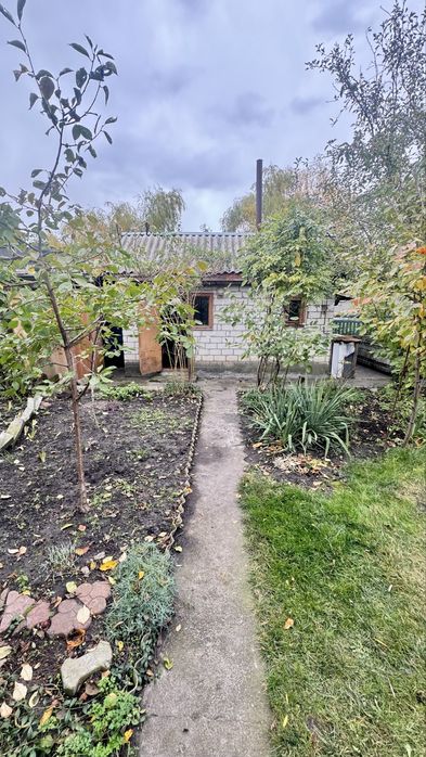 Дача коло Дніпра