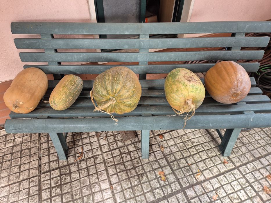 Abóbora biológica 4.5€ kg