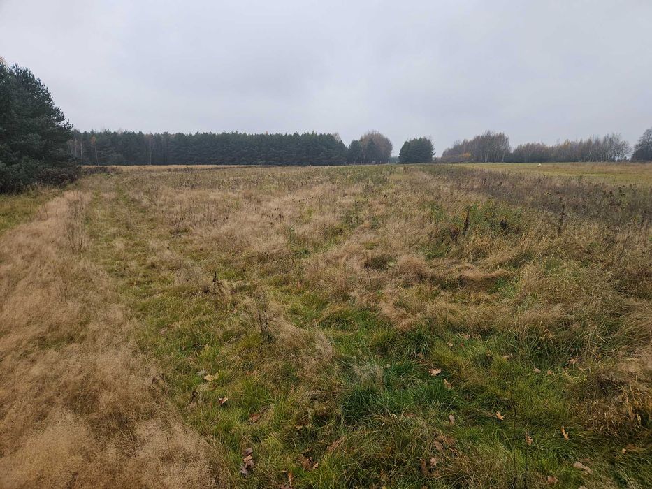 Działki na sprzedaż Trzeboś