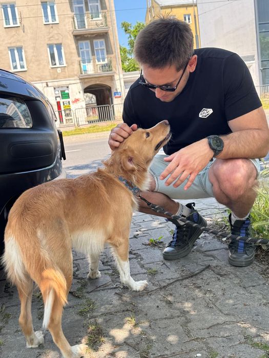 Trener Psów - Behawiorysta