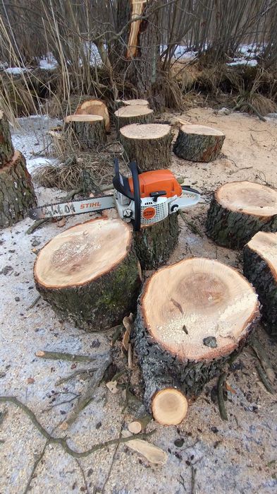 Piła Stihl 291 ,271 Nowa 3,8 kM 2025 r