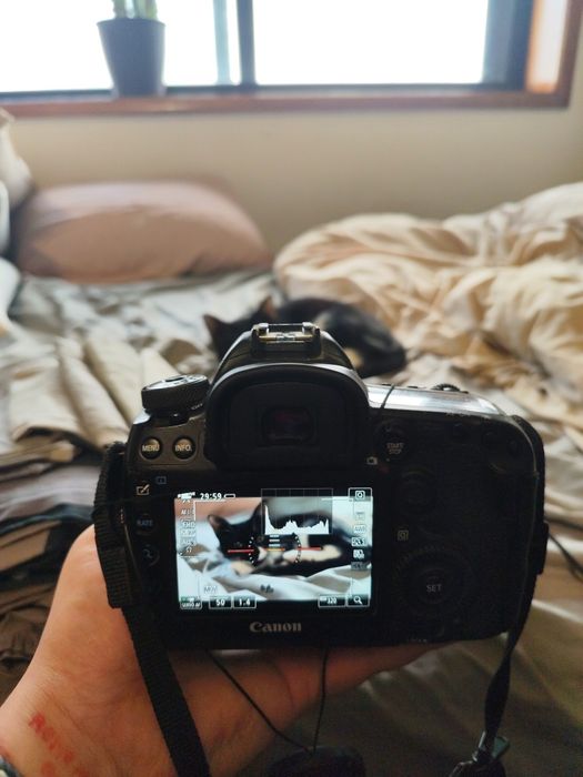 Canon 5d mark IV - 50mm 1.4 e caixa original