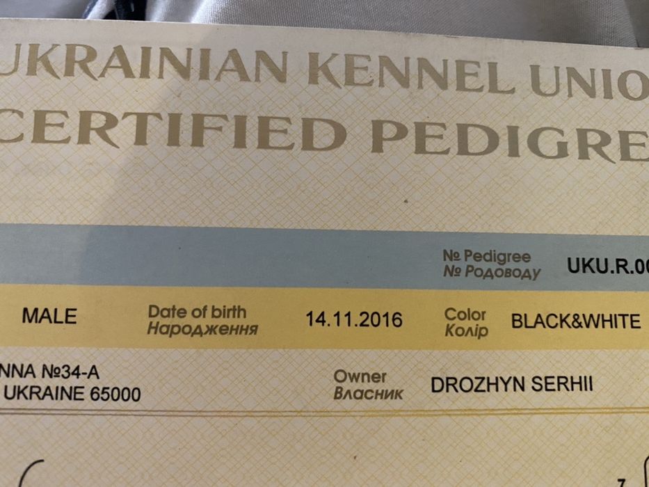 Хаски для вязки