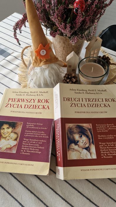 Książka - poradnik dla rodziców wychowujących dziecko