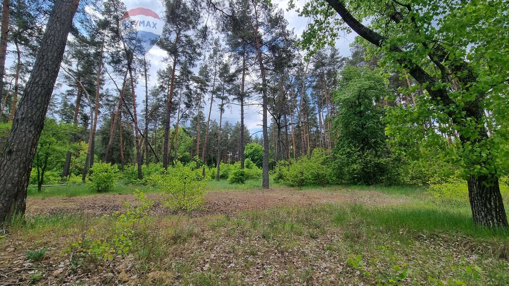 2 га | Лютіж | Асфальт | 100 кВт| Вишгородський район | під забудову