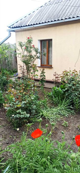 Продається будинок в межах міста Жовті Води