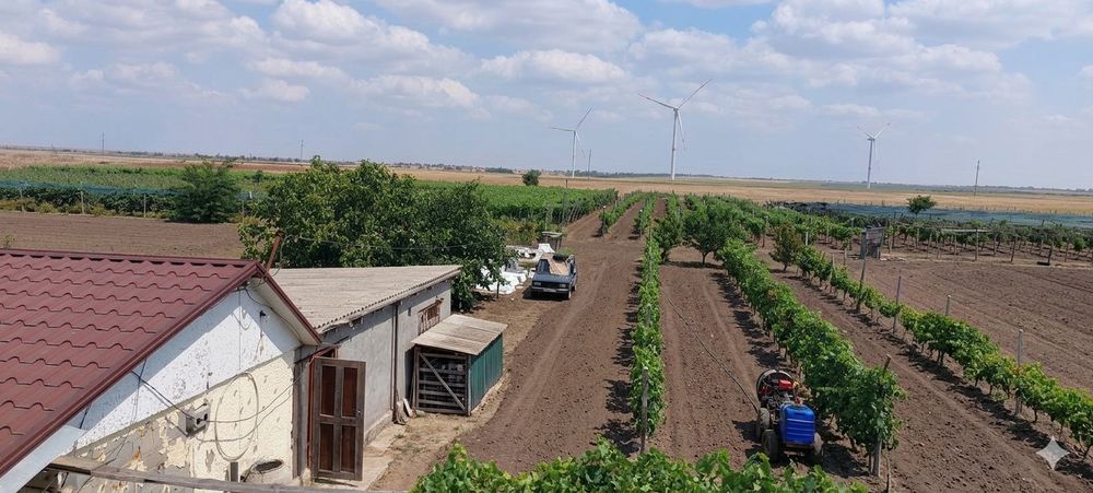 Продаж сільськогосподарьского 2,5Га