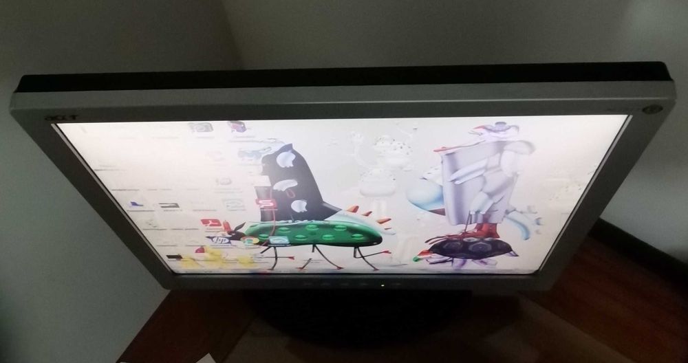 Acer 19" Computer Monitor64729602585475123