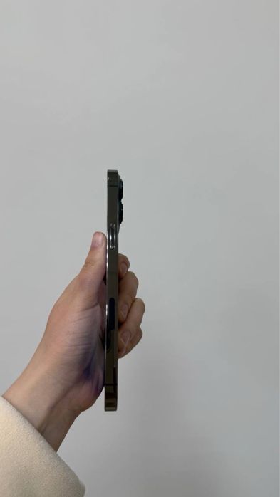 iPhone 13 Pro Max 256GB Graphite 100% Neverlock