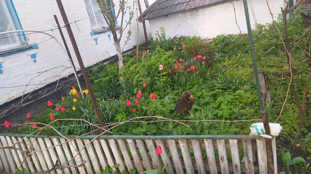 Продається будинок