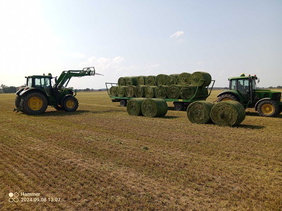 Sianokiszonka z lucerny i traw