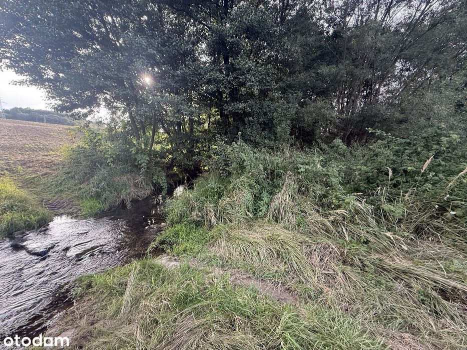 Działka 2,12 ha , Szalejów Górny , Wolany ,Polanica Zdrój , Kłodzko - Widok 4