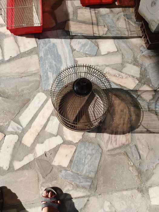 Gaiolas de pássaro, pequenas 5€,grandes 10€