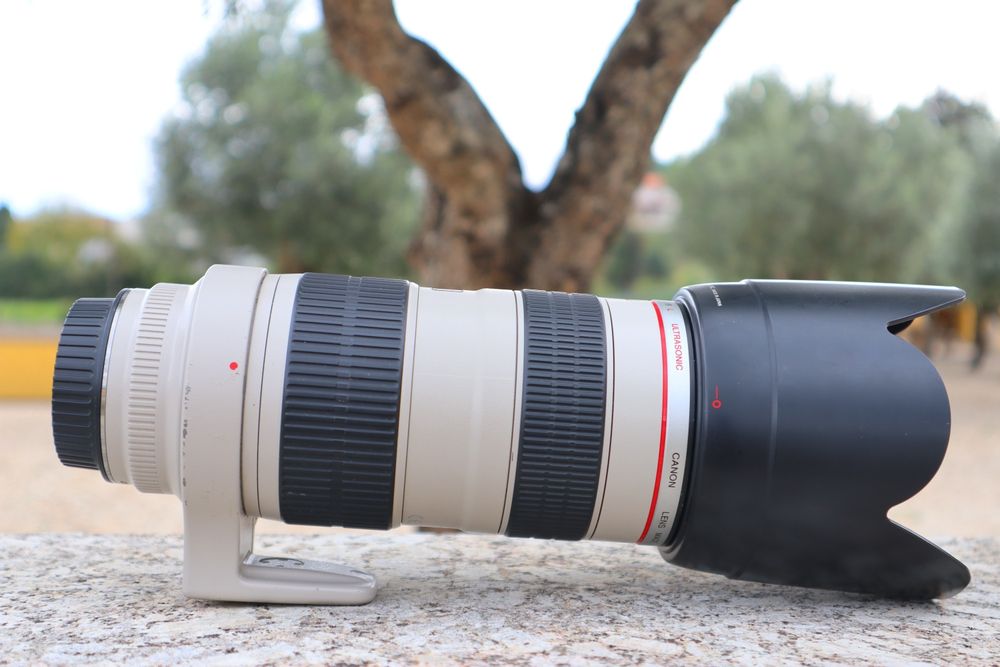 Canon EF 70-200mm f/2.8 L USM