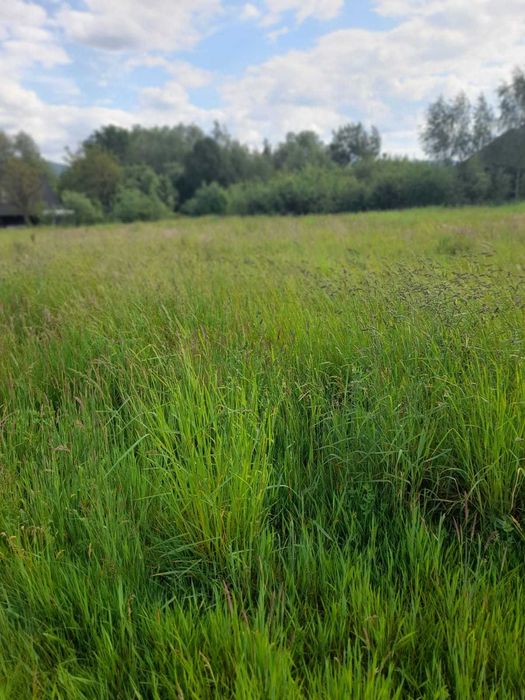 Działka budowlana Inwałd