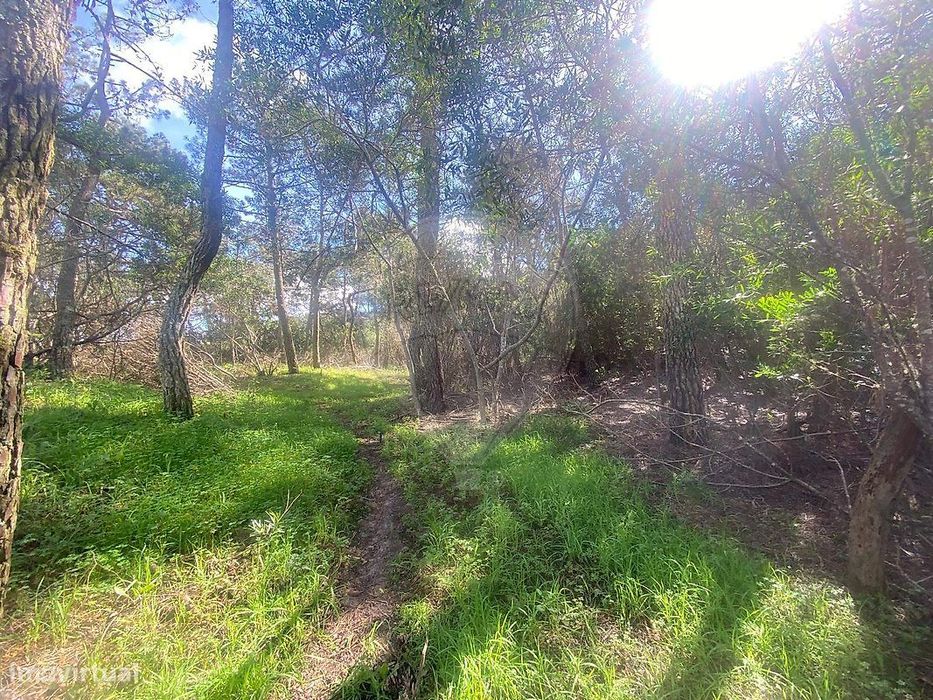 Terreno  para venda — Colares, Lisboa