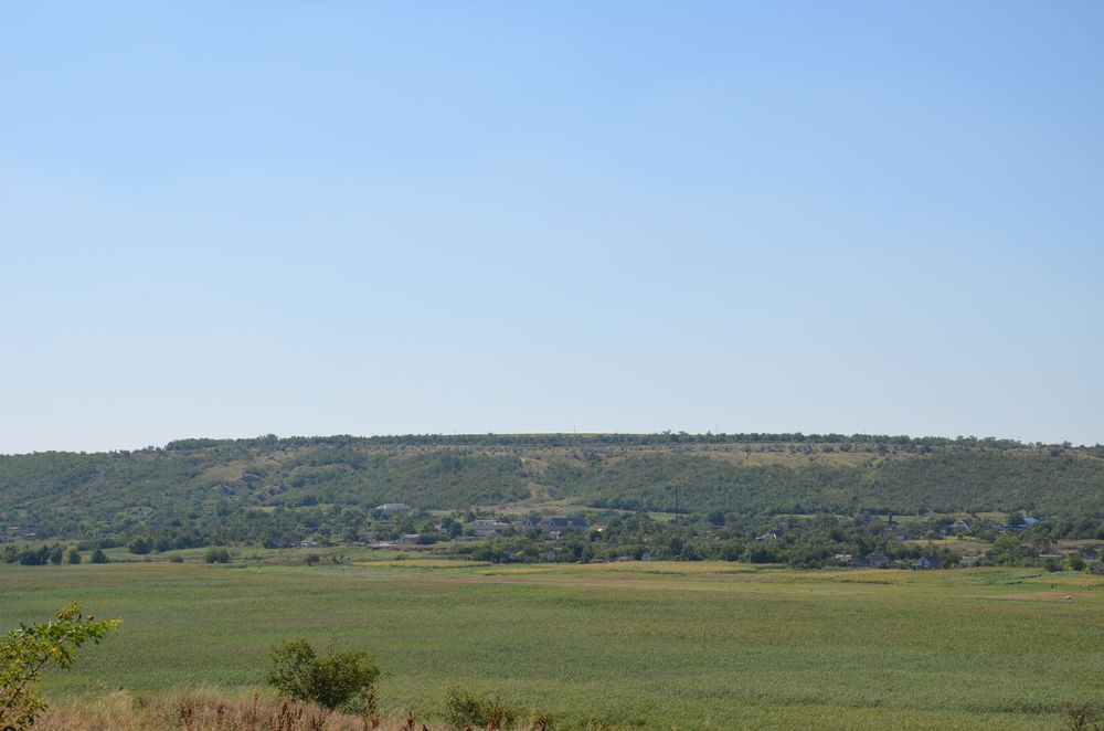 Ферма 1800 кв.м.,свинарник, коровник (здания, помещения, склад, село)