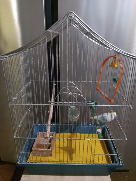Велика клітка для папуг, за супер ціною! Простора, в гарному стані.