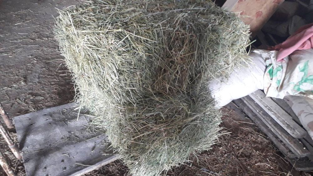 Продам сіно в тюках