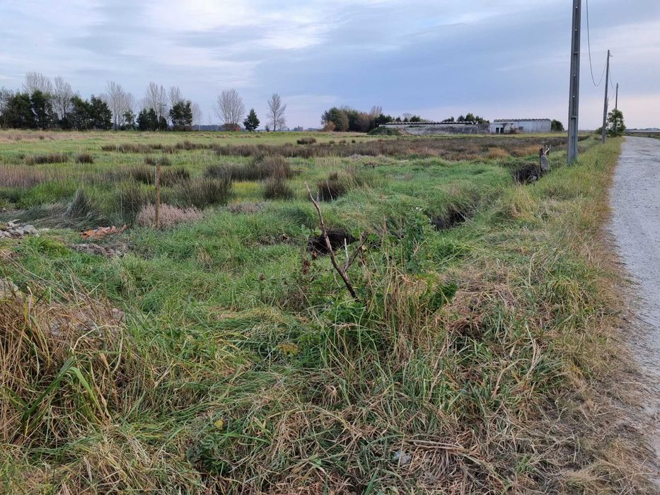Terreno no Cais da Ribeira de Ovar