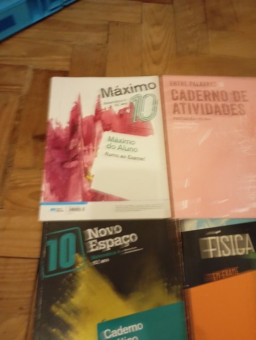Cadernos de atividades 10°ano