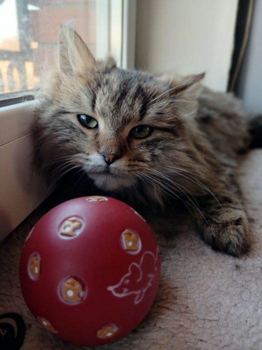 Девочка Джина 8 месяцев