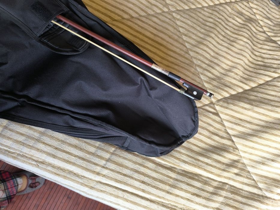 Capa para violoncelo, arco e livros diversos