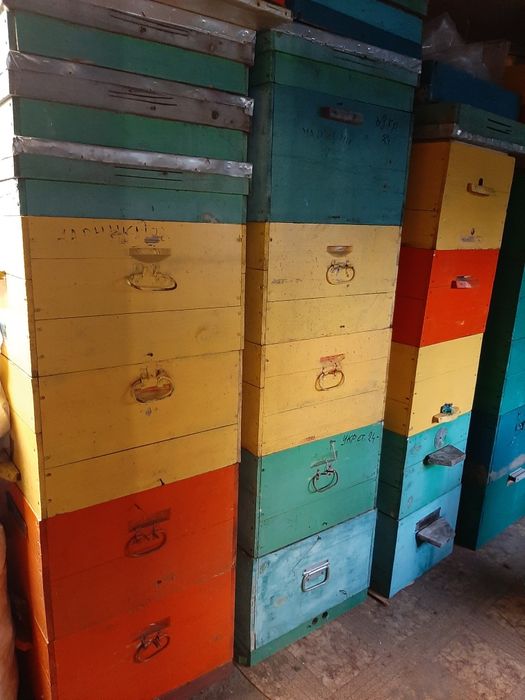 Вулики для бджіл