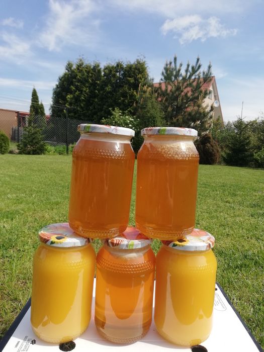 Miód z własnej pasieki 2 akacja z lipa