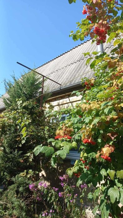 Продаж трикімнатного  будинку в Ірпені, вул. Варшавська. (3, 64сот)