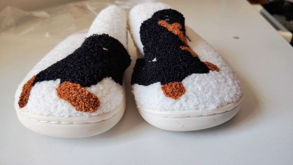 Chinelos novos com cão estampado