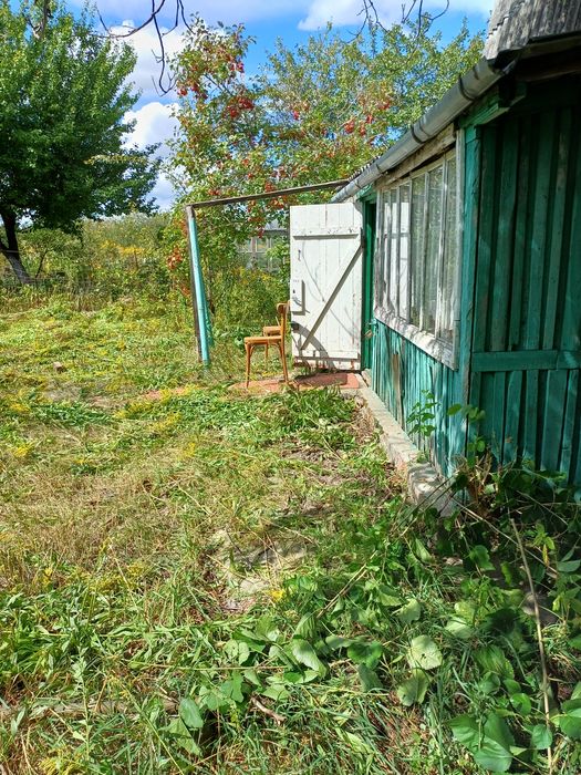Продам дачу в Березанці