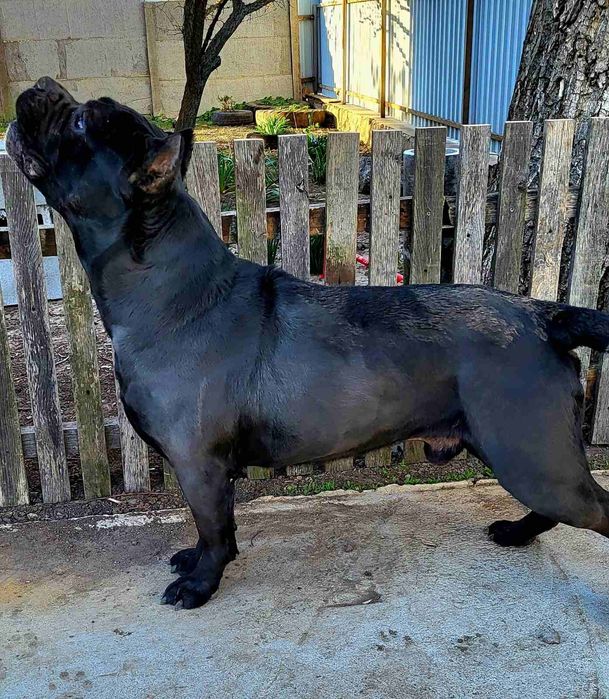 Гарний хлопчик готовий до побачення