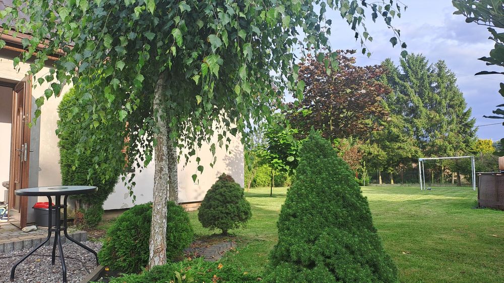 Sprzedam dom jednorodzinny