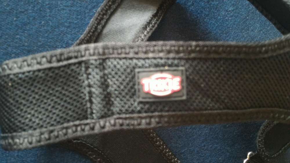 Arnês para cão de porte pequeno rigorosamente em estado novo