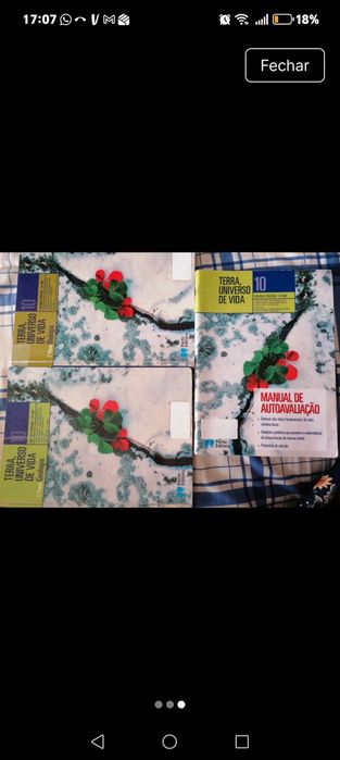 Biologia e geologia 10 ano