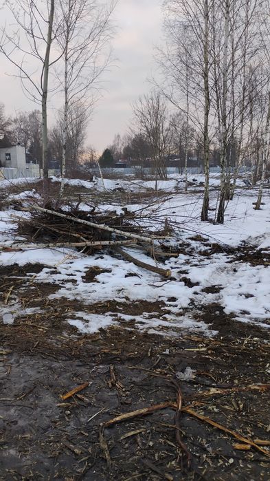 WYCINKA DRZEW/Odbiór drewna i gałęzi