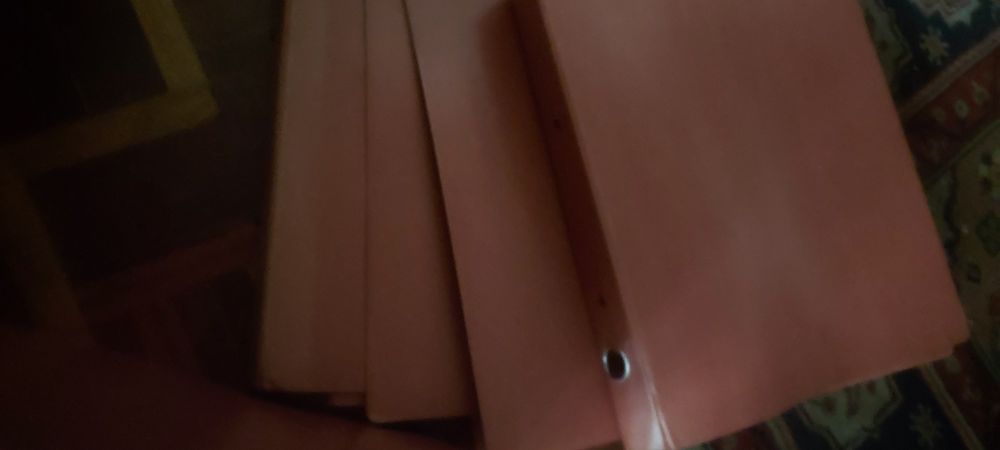 10 CAPA DE 2 ARGOLAS CAST. DURAS. E 40 AFIAS metálico e coryescortes