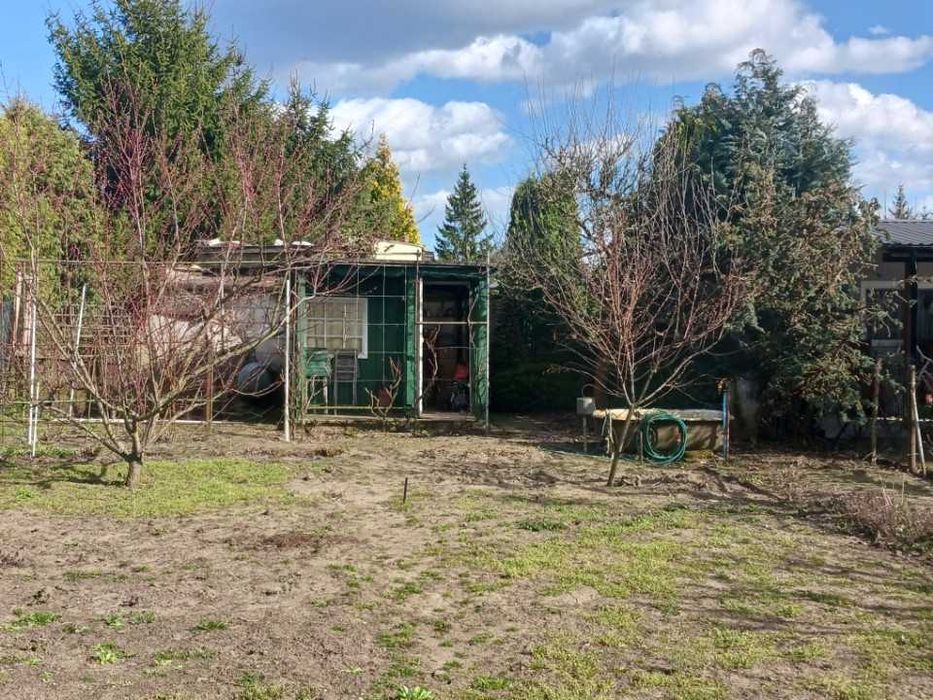 Działka ROD Leszno, Leszczynko