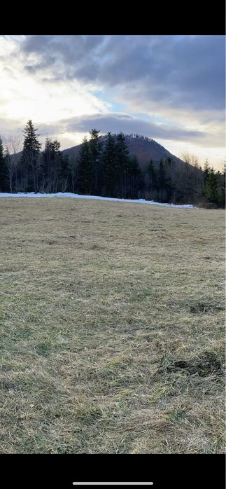 Глемпінг «Bubble house”, с.Мигове, Чернівецька область ТОРГ