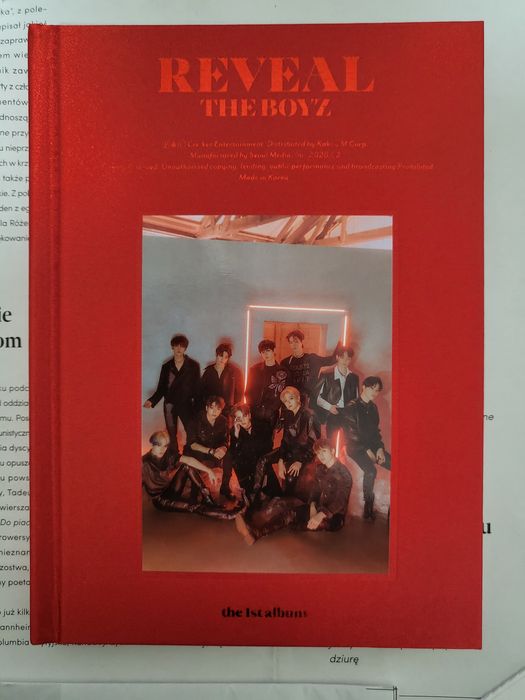 The Boyz album reveal