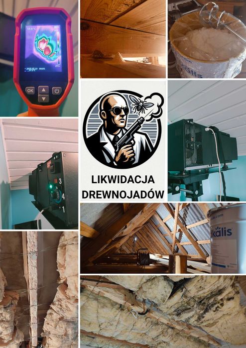 DDD usuwanie zwalczanie myszy szczurów pluskwy dezynsekcja deratyzacja