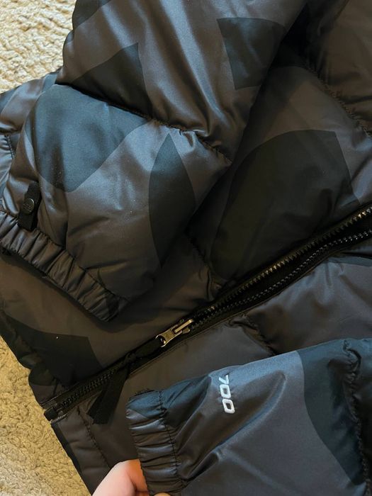 The North Face × KAWS 1996