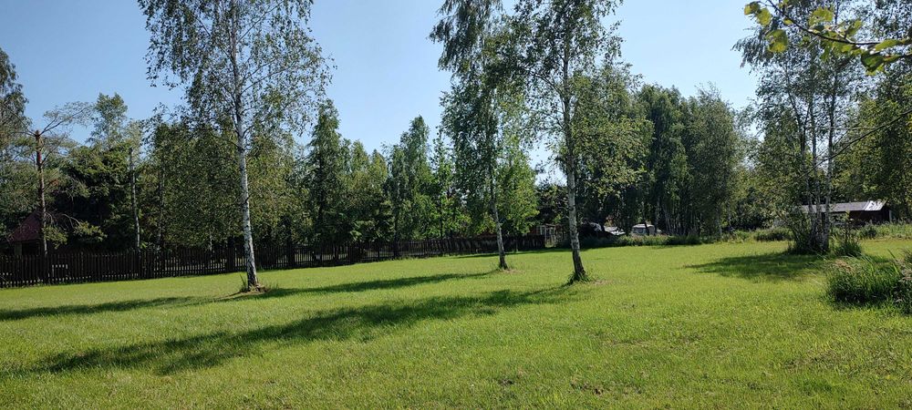 Działka nad jeziorem Roś z dostępem do linii brzegowej i pomostu - MAZURY Szczechy Małe - Widok 2