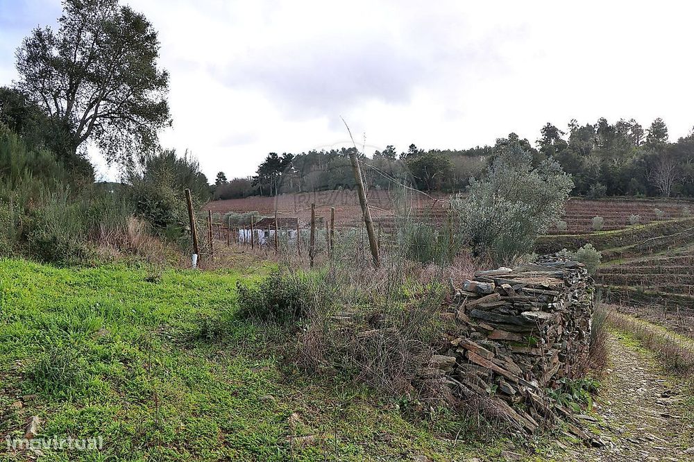 Quinta  para venda