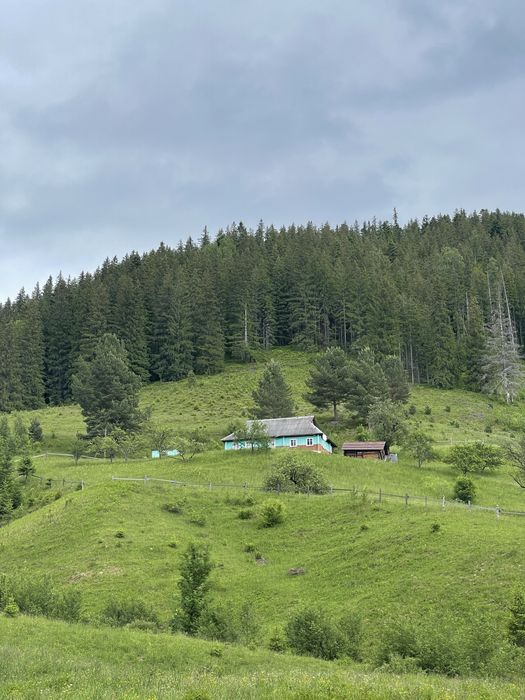 Здам будинок в Карпатах під Верховиною  порядній сімї для відпочинку  в центрі села з Wi-Fi