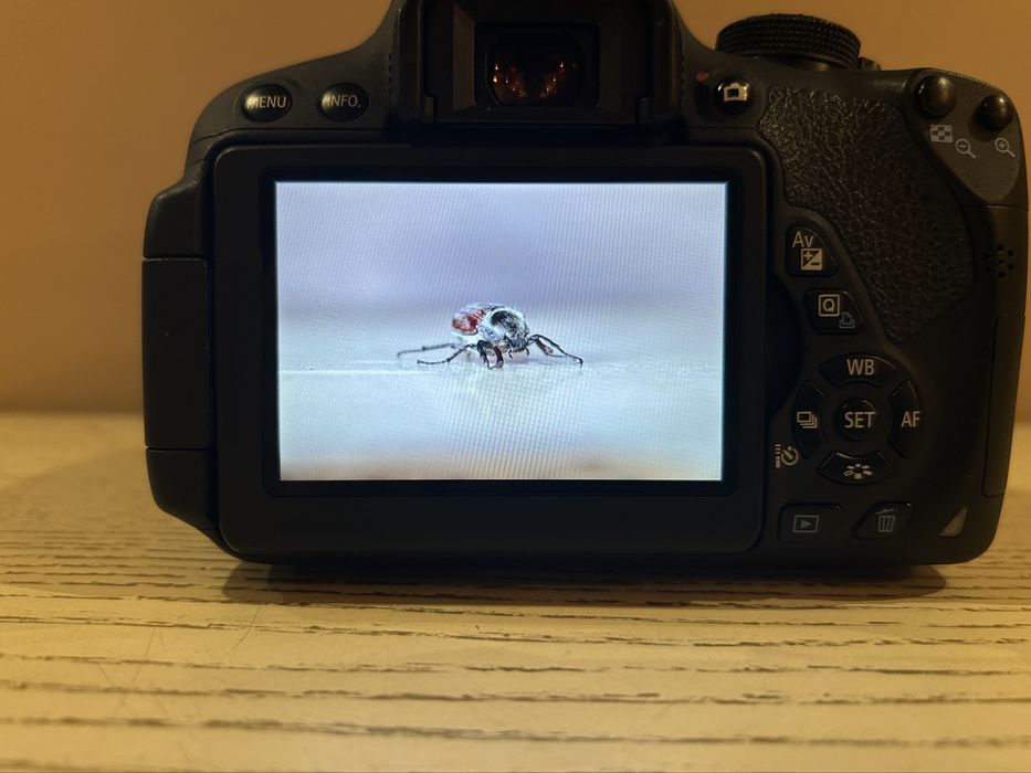 Canon EOS 700D з об'єктивом 18-55mm - повний комплект