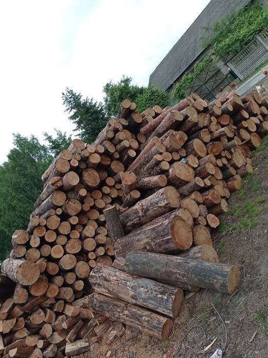 Drewno opałowe i kominkowe